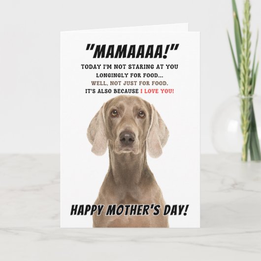 Remerciements Carte de voeux de la mère Weimaraner (Devant)