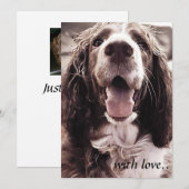 Remerciements Carte de voeux de springer spaniel (Devant / Derrière)