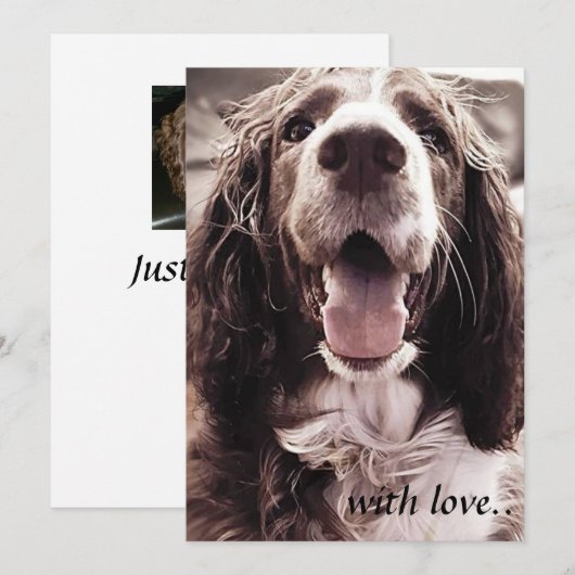 Remerciements Carte de voeux de springer spaniel (Devant / Derrière)