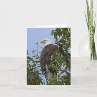 Remerciements Carte de voeux d'Eagle chauve