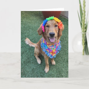 Remerciements Carte de voeux d'été Golden Retriever