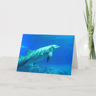 Remerciements Carte de voeux Dolphin