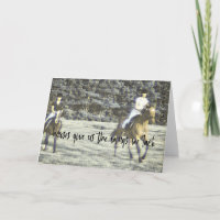 Carte de voeux FIELD RACING