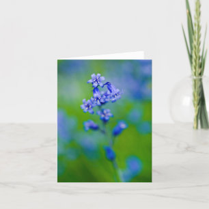Remerciements Carte de vœux fleur de jacinthe des bois