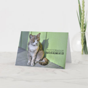 Remerciements Carte de voeux KEY WEST CAT