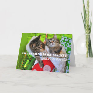 Remerciements Carte de vœux KITTEN KRISTMAS