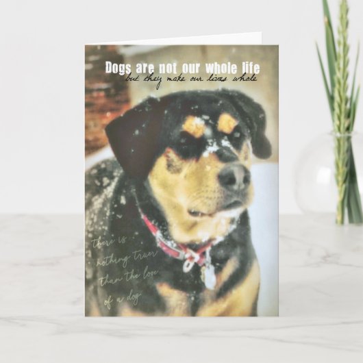 Remerciements Carte de voeux MAGGIE MAE (Devant)