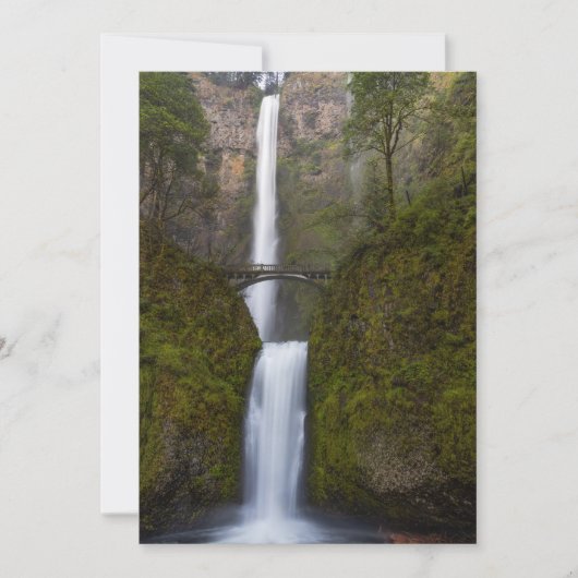 Remerciements Carte de voeux Multnomah Falls (Devant)