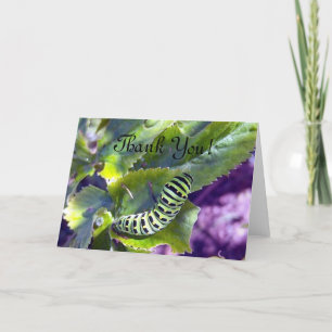 Remerciements Carte de voeux noire de Caterpillar 2 de machaon