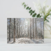 Remerciements  Carte de vœux Paysage forêt (Debout devant)