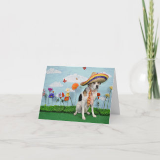 Remerciements Carte de voeux, photo de chien dans le sombrero