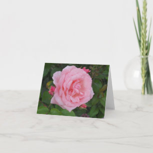 Remerciements Carte de vœux pliée classique rose rose vierge