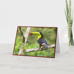 Remerciements Carte de voeux pliée Toucan