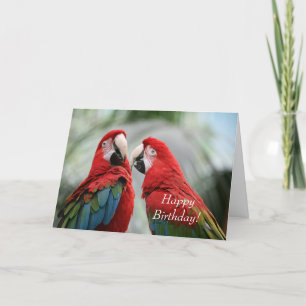 Remerciements Carte de voeux pour l'anniversaire du perroquet