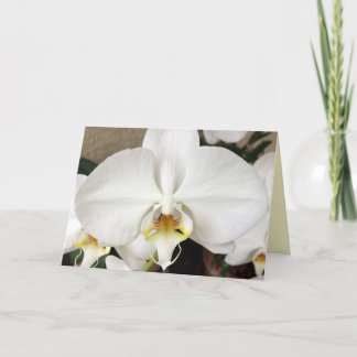 Remerciements Carte de voeux pour orchidée blanche