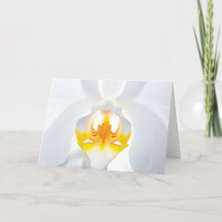 Remerciements Carte de voeux pour orchidée blanche