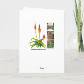 Remerciements Carte de voeux Prickly pear (Dos)