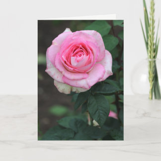 Remerciements Carte de voeux rose Rose blanc