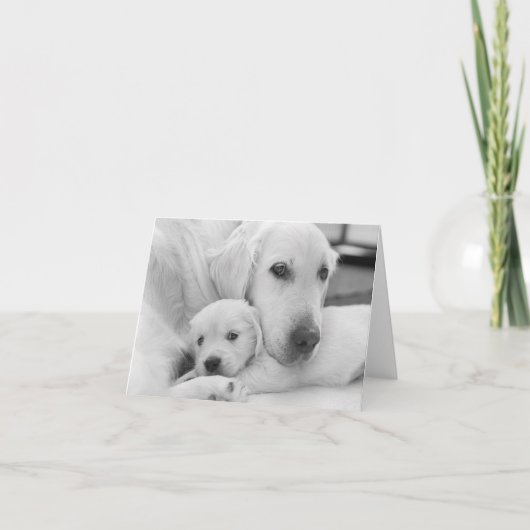 Remerciements Carte de voeux vierge (Devant)