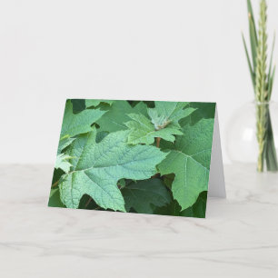 Remerciements Carte de vœux vierge Hydrangea à feuilles d'orme