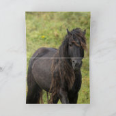 Remerciements Carte de voeux Wild Sable Island Stallion (Intérieur)