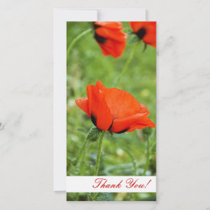 Remerciements Carte photo de remerciement
