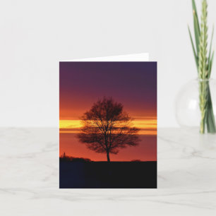 Remerciements Carte pour notes blanc silhouette de l'arbre.