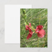 Remerciements Carte pour notes de fleurs (Devant / Derrière)