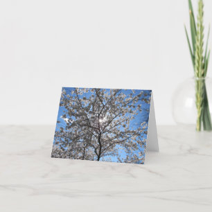 Remerciements Carte pour notes florissant de fleurs de cerisiers