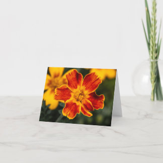 Remerciements Carte pour notes vierge de fleurs