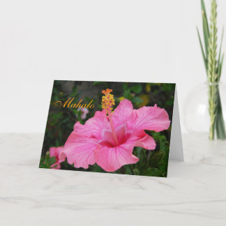 Remerciements Carte rose de ketmie d'Hawaï