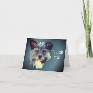 Remerciements Cute Mutt Terrier Mixte Breed Chien Carte de remer
