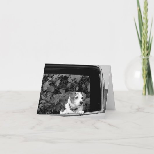 Remerciements Doggie dans la carte de note de la fenêtre (Devant)