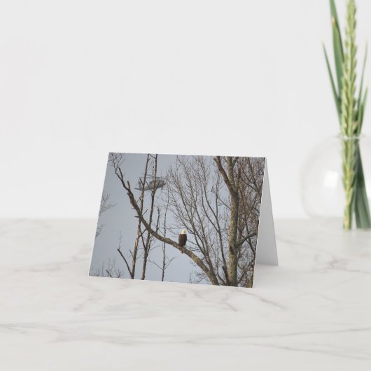 Remerciements Eagle chauve et carte pour notes de Blackhawk - (Devant)