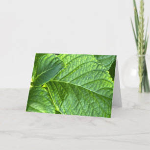 Remerciements Feuilles verts dans la carte de note blanche de gr