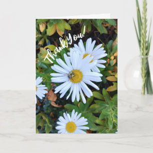 Remerciements Fleur marguerite blanche avec Carte de remerciemen