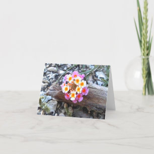 Remerciements Fleur Texas Lantana - Carte de voeux Plutôt Vierge