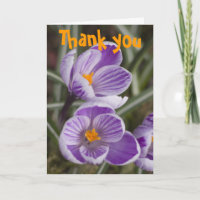 Fleurs de crocus violettes ... Carte de remercieme