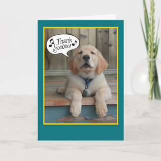 Remerciements Golden Retriever chanter brille la Carte de remerc