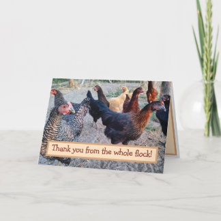 Remerciements Humour de poulets drôle Barnyard Carte de remercie