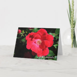 Remerciements Juste Une Carte De Rappel