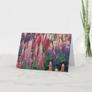 Remerciements Le lupin fleurit la carte de voeux vierge