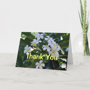 Remerciements Le Plumeria tropical fleurit le carte de