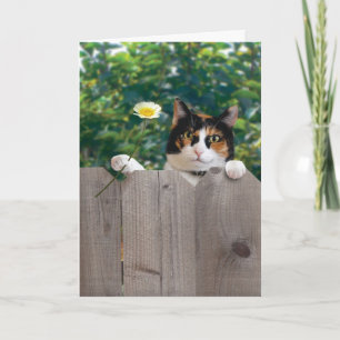 Remerciements Meilleur adorable mignon drôle de carte de chat de