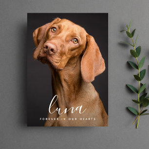 Remerciements Mémorial de la carte Pet Sympathy Card