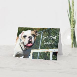 Remerciements Obtenez bientôt la carte de salutation bulldog
