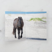 Remerciements Profil de Stallion de l'île de Sable - Carte de vo (Intérieur)