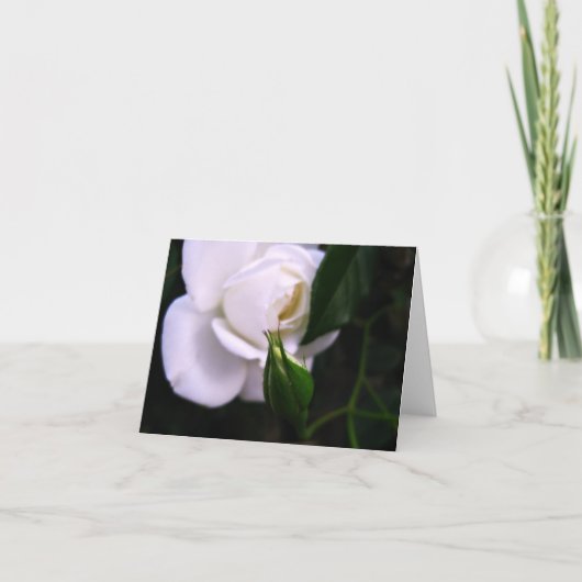 Remerciements Rose blanc et carte de note rose de bourgeon (Devant)