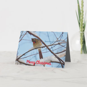 Remerciements Silent Wonders Carte de Noël Femme Cardinal
