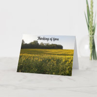 Sunny Thoughts Carte de tournesol chrétien